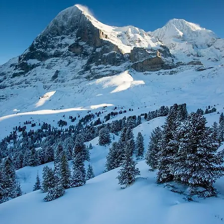 Restaurant Eigernordwand Kleine Scheidegg
